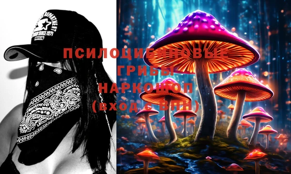 прущие крисы Алексеевка