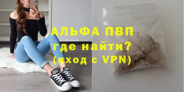 стафф Алексин