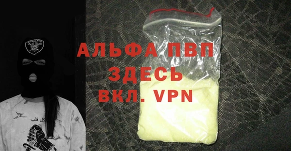 стафф Алексин