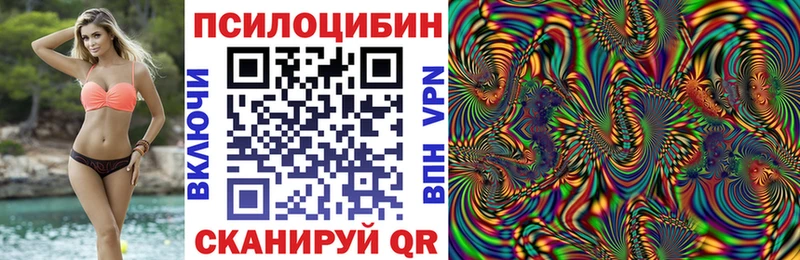 Псилоцибиновые грибы Cubensis  Абинск 