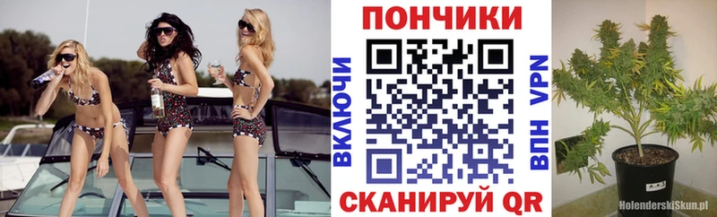 мега ССЫЛКА Абинск Канабис THC 21%